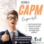 From Project Disaster to Pro in Days: Online CAPM® Training 