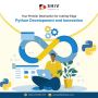 Enhance Your Project with best python development agency!