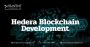 Hedera Blockchain Development Services