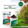 Effective Fertilizer for Apple Trees
