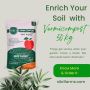 Buy 50kg Vermicompost Online and Enrich Your Soil