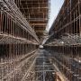 Contact Now For Rebar Detailing Service Provider, Australia