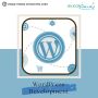 WordPress Web Development Services London