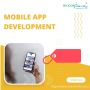 Mobile Web Development 