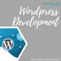 Outsource WordPress Development