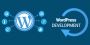 WordPress Theme Development | WordPress Development Company