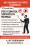 Say Goodbye to Pests in Mumbai with SmartFind.in! Say Goodbye to Pests in Mumbai with SmartFind.in!
