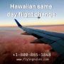 How Can I Initiate Hawaiian Same Day Flight Change Procedure