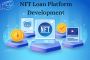 Introduction To NFT Collateralized Loan Platform Development
