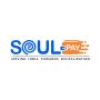 Soulpay DTH Recharge: Instant, Effortless, Everywhere