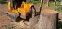Atlanta's Trusted Stump Grinding Specialists 