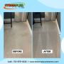 Maintain the Appearance of Your Carpet with Our Professional