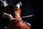 Learn cello from the best teachers in Stradivari Strings.
