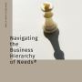 Strategic Evolution: Navigating the Business Hierarchy of Ne
