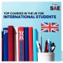 Top Courses in the UK for International Students 