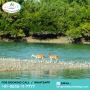 SUNDARBAN TOUR PACKAGE 2 Nights 3 Days Starts From 7500