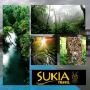 Explore Wilderness on Sukia Travel’s 7-Day Costa Rica Tour