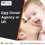 Egg Donor Agency in UK 