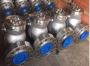 Swing Check Valve Manufacturer in Germany: