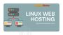 Unleash Your Website's Potential with Linux Web Hosting from