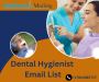 Empower Your Dental Business with Dental Hygienist Email Lis