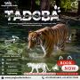 Tadoba Weekend Tour 1Night 2Days @3500/- Only | Book Now