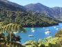 Discover Affordable Picton Accommodation | Tasman Holiday Pa