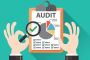 Taxgoal Provided Online Audit Service in Delhi - Call Now