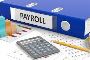 Payroll with Professional Services in Canada by TaxlinkCPA