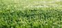 Artificial grass houston tx