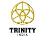 Trinity India Forgetech Pvt. Ltd.