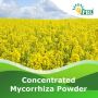 Mycorrhiza Fertilizer | Peptech Biosciences | Manufacturer 