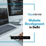  Website development in delhi | Techmistriz 