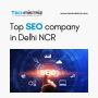 Top SEO company in Delhi NCR | Techmistriz 