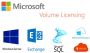 Global Microsoft Volume Licensing Support and Technology 