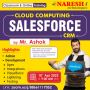 Free Demo On Salesforce CRM By Mr. Ashok - NareshIT