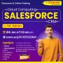 Saleforce Course Training in Hyderabad - Naresh IT