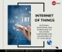 Elevating IoT Experiences with Custom Solutions in (U.A.E)