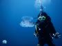 Discover a New World with Our Open Water Diving Course