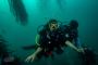 Learn Everything About Adaptive Scuba Diving