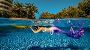 Make a Splash with PADI Mermaid Certification