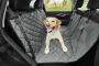 Must-Have Essential Accessories for Safe Car Travel with Dog