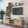 Shop Modern Design Lush Tv Unit with Wall Mounted Shelf