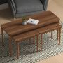Shop Modern Omega Nested Coffee Table for Living Room