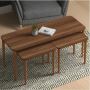 Omega Nested Coffee Table for Living Room in UAE