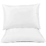 Shop Dream Luxury Pillow for Comfortable Sleeping Set of 2