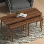 Omega Nested Coffee Table for Living Room | Home Canvas