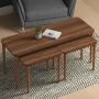 Omega Nested Coffee Table for Living Room - The Home Canvas