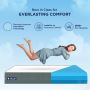 Discover Blissful Sleep: Buy Mattress Online with The Sleep 