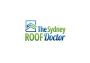 Gutter Cleaning Sydney & Roof Maintenance | The Sydney R